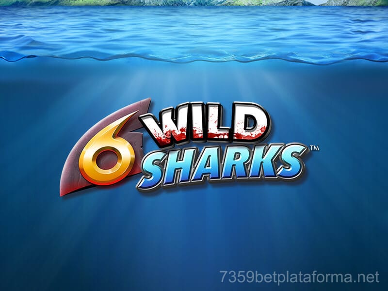 6 Wild Sharks